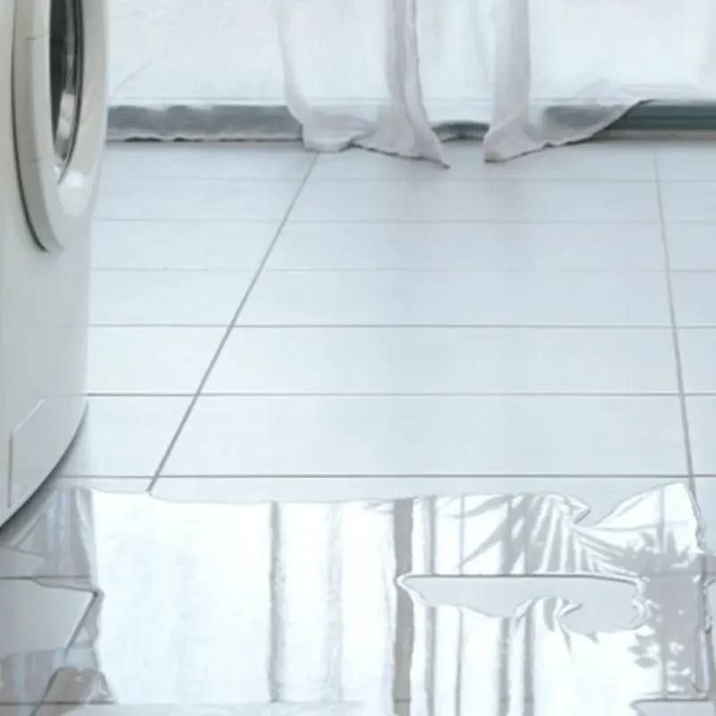 Appliance Leak Cleanup in Highland, NY