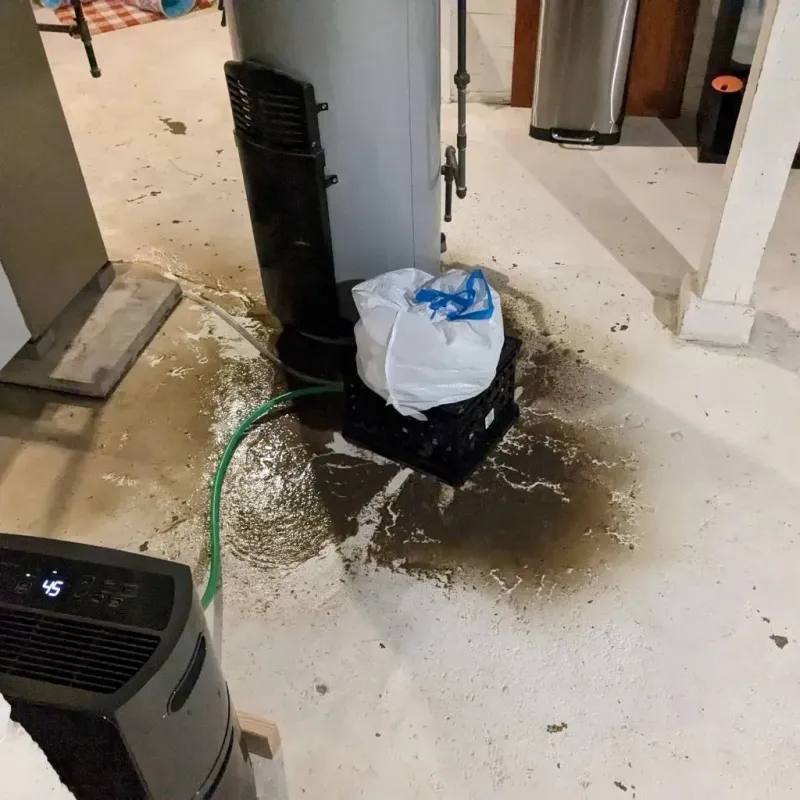Sewage Backup Cleanup Service in Highland, NY